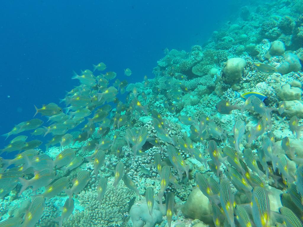 Ras Beach Inn Rasdhoo Екстер'єр фото