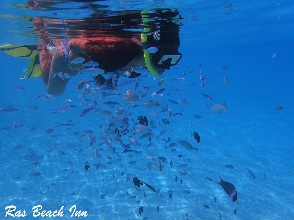 Ras Beach Inn Rasdhoo Екстер'єр фото