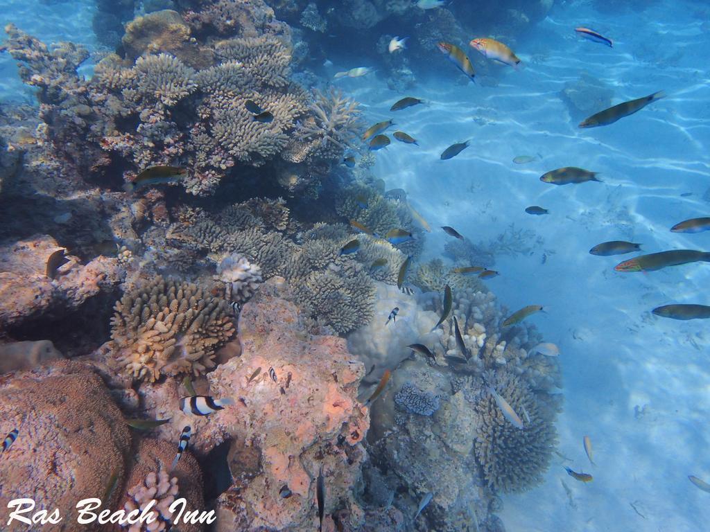 Ras Beach Inn Rasdhoo Екстер'єр фото