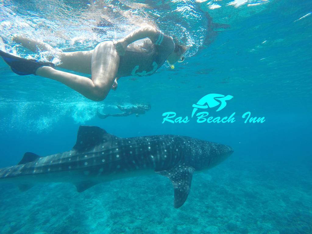 Ras Beach Inn Rasdhoo Екстер'єр фото